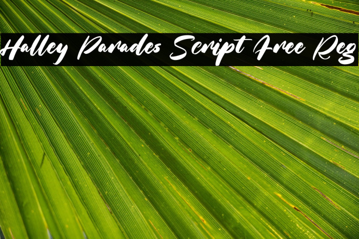 Halley Parades Script Free Reg Example 2