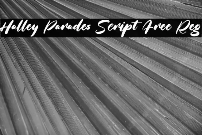 Halley Parades Script Free Reg フォント examples