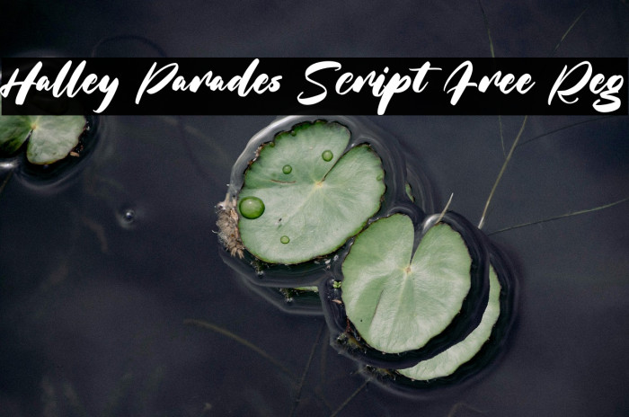 Halley Parades Script Free Reg Example 3