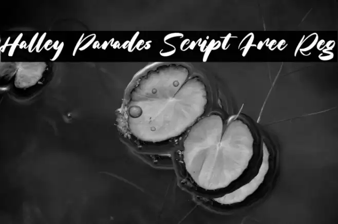 Halley Parades Script Free Reg フォント examples