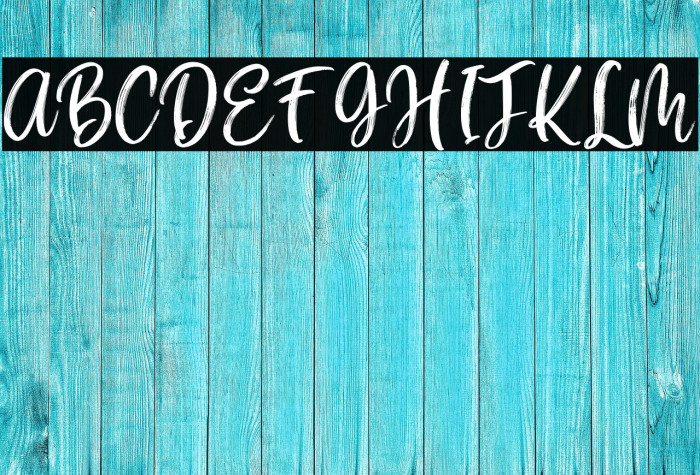 Halleyo Personal Use Example 3