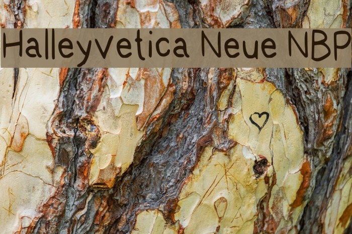 Halleyvetica Neue NBP Font examples