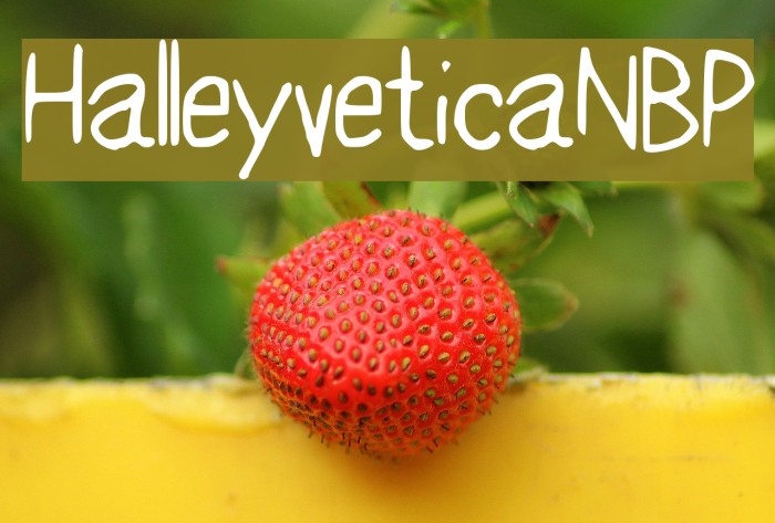 HalleyveticaNBP Font examples
