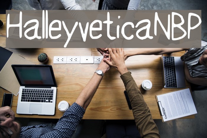 HalleyveticaNBP Font examples
