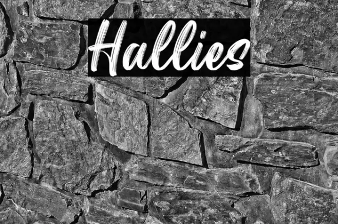 Hallies Font examples