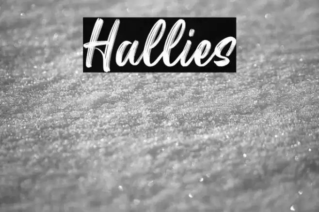 Hallies Font examples
