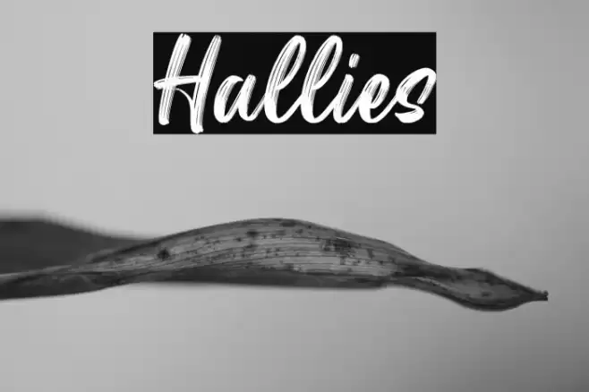 Hallies Font examples