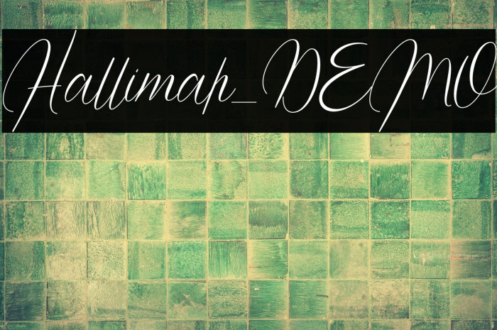 Hallimah_DEMO Example 1