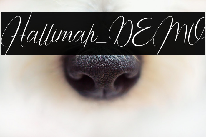 Hallimah_DEMO Example 2