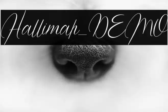 Hallimah_DEMO Font examples