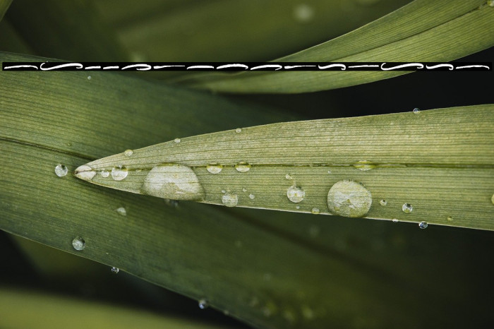 HallingtonSwash Example 2