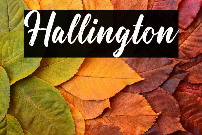 Hallington Example 1