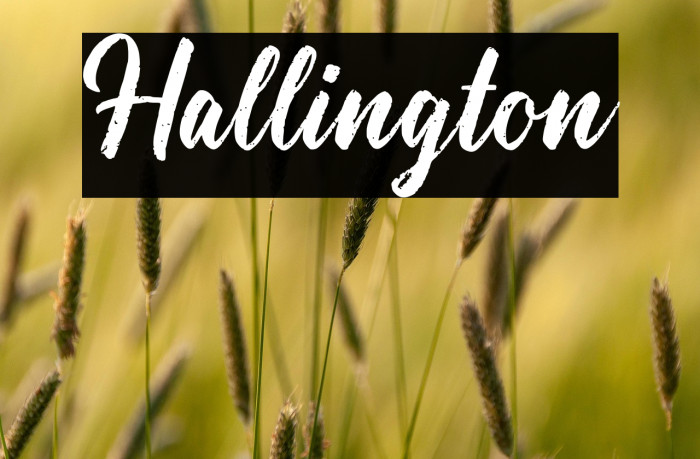Hallington Example 3
