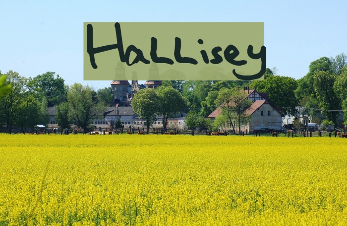 Hallisey Font examples