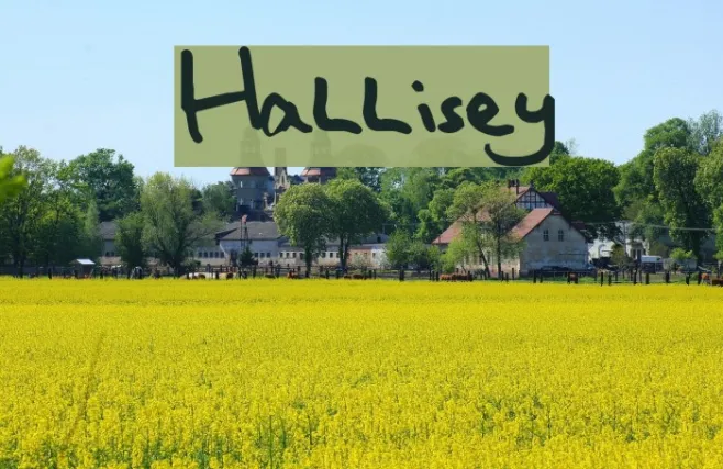 Hallisey Example 1