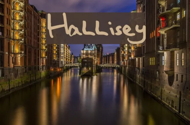Hallisey Example 3