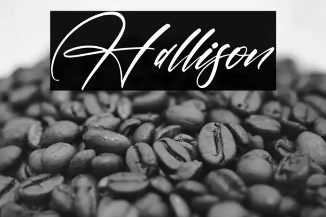 Hallison Font examples