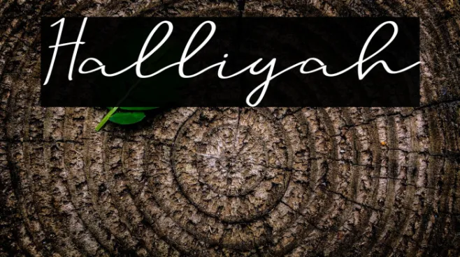Halliyah Example 3