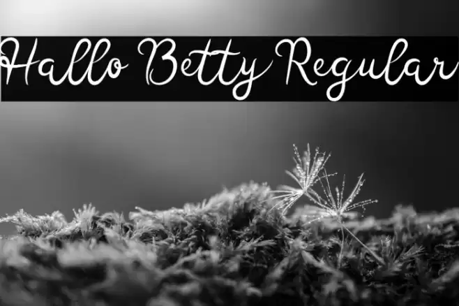 Hallo Betty Regular Font examples