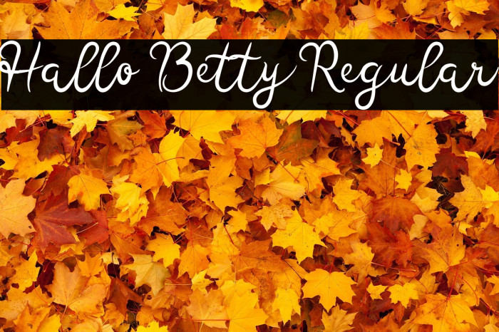 Hallo Betty Regular Example 2