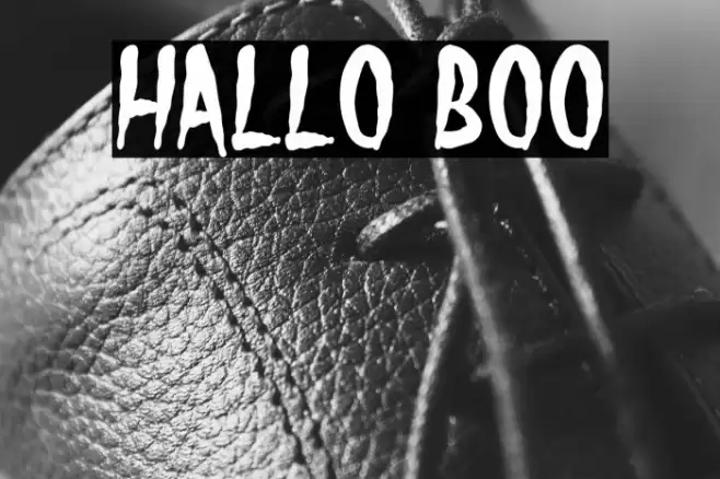 Hallo Boo Font examples