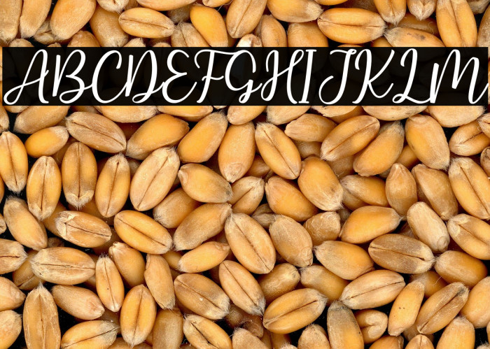 Hallo Carthy Example 2