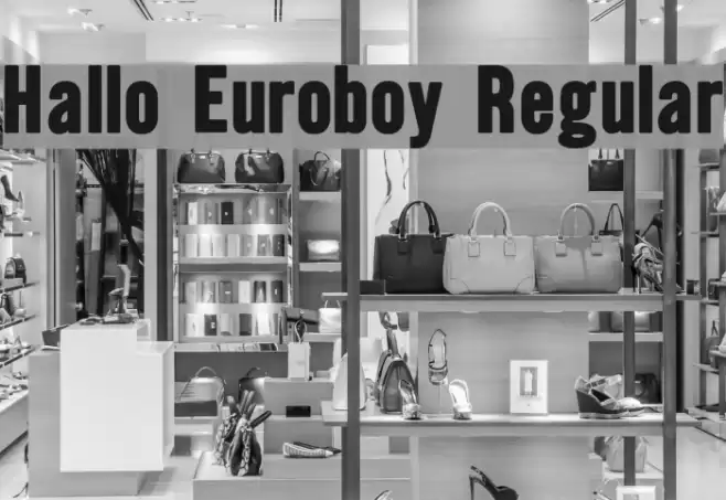 Hallo Euroboy Regular Font examples