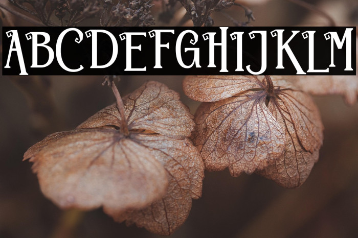 Hallo Monsta Example 2