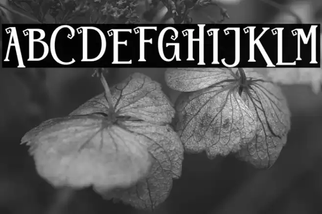 Hallo Monsta Font examples