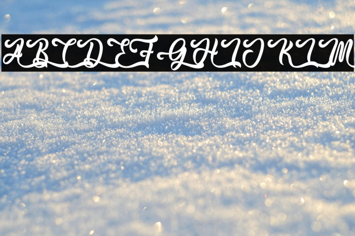 Hallo Oyster - Personal Use Example 3