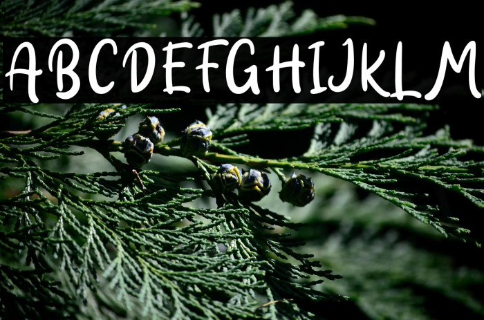 Hallo White - Personal Use Example 3