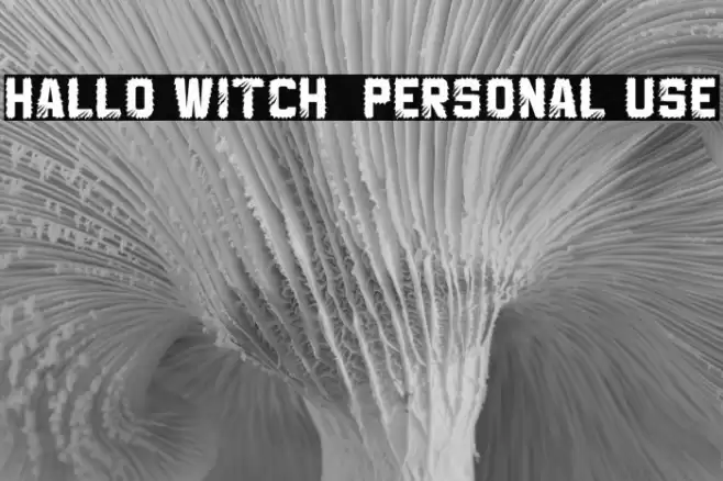 Hallo Witch - Personal Use Font examples