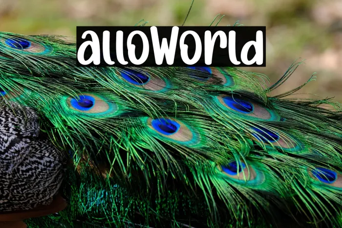Hallo World Example 1