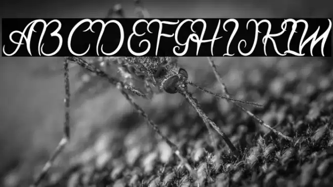 HalloBetty-Regular Font examples