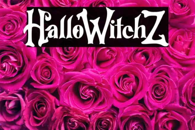 HalloWitchZ Example 2