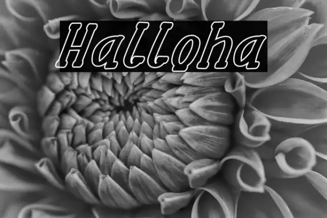 Halloha Font examples