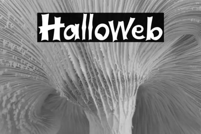 Halloweb Font examples