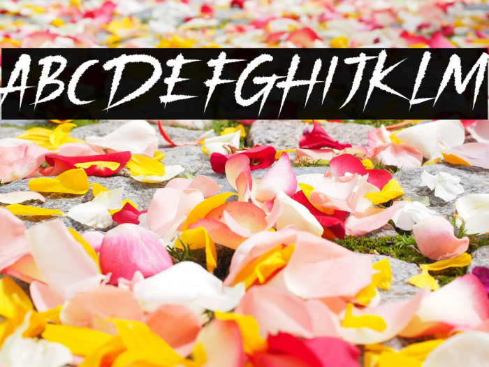 Hallowed Crawler Example 2