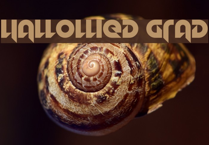 Hallowed Grad Font examples