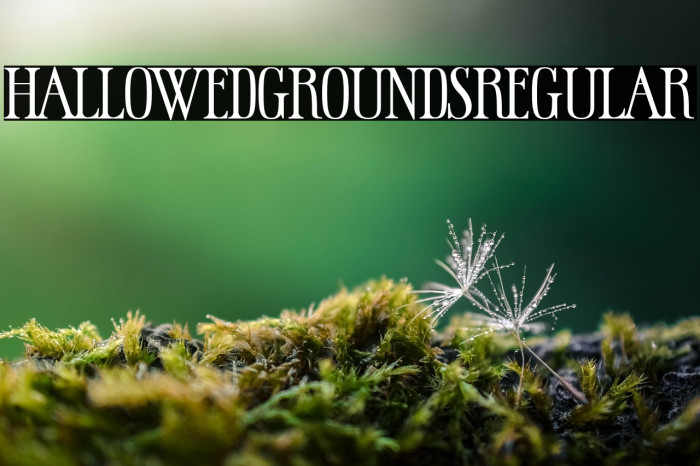 HallowedGroundsRegular Example 2