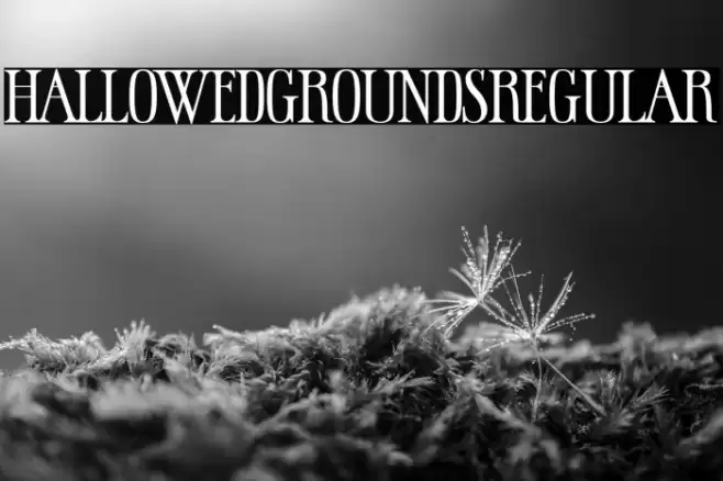 HallowedGroundsRegular Font examples