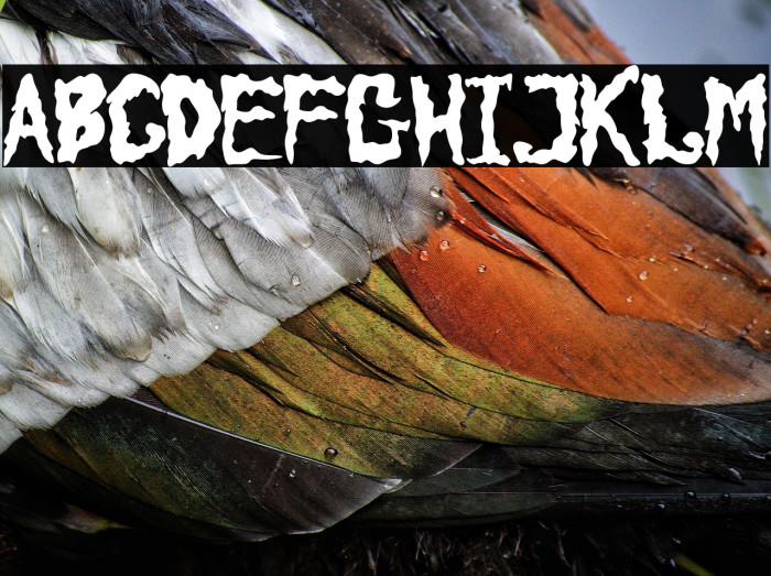 Halloween Before Christmas Example 3