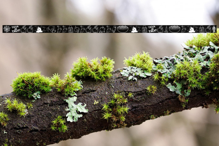 Halloween Bell_PersonalUseOnly Example 3