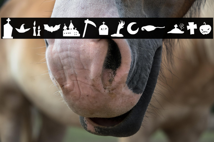 Halloween Clipart Example 2