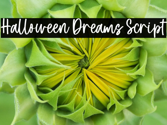 Halloween Dreams Script Example 2
