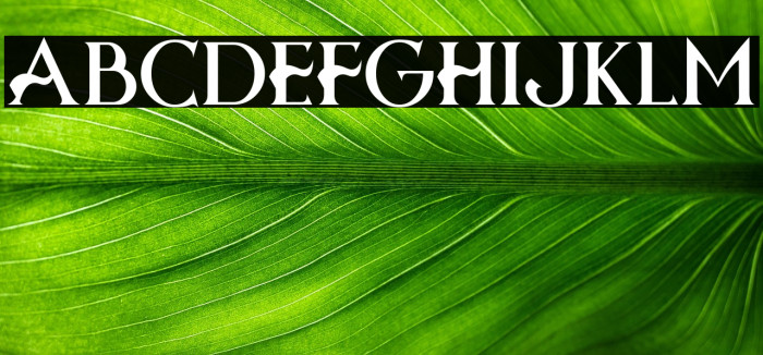 Halloween Fears Example 3