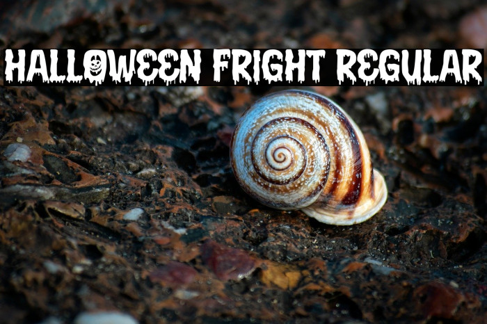 Halloween Fright Regular Example 3