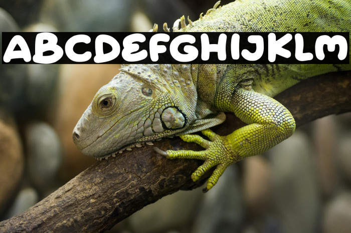 Halloween Funtime Example 1