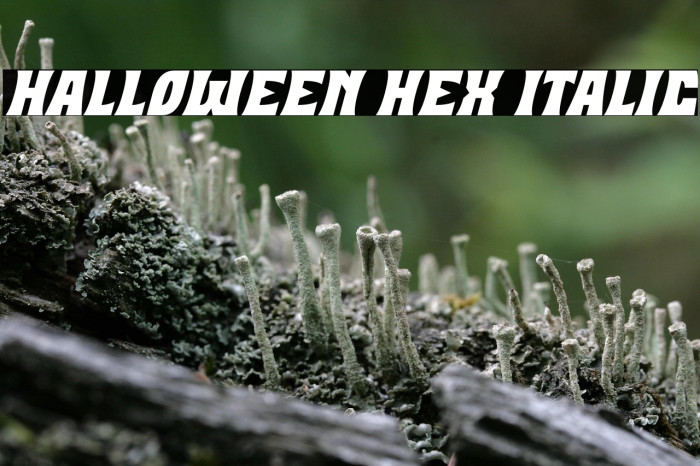 Halloween Hex Italic Example 1