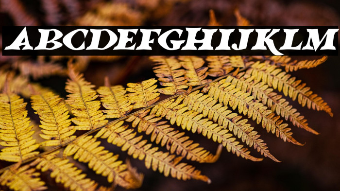 Halloween Horrors 2023 Italic Example 2